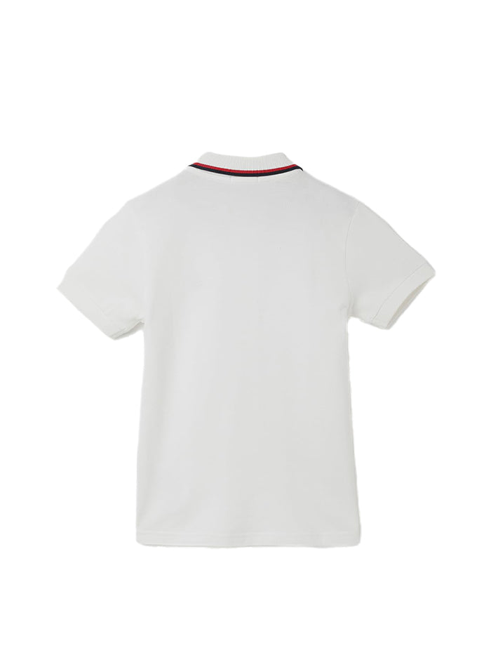 REGULAR FIT POLO COLLAR SOLID T-SHIRT