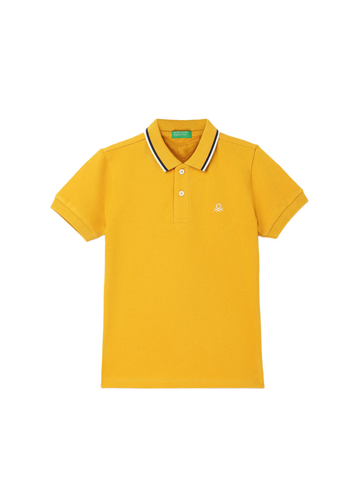 REGULAR FIT POLO COLLAR SOLID T-SHIRT