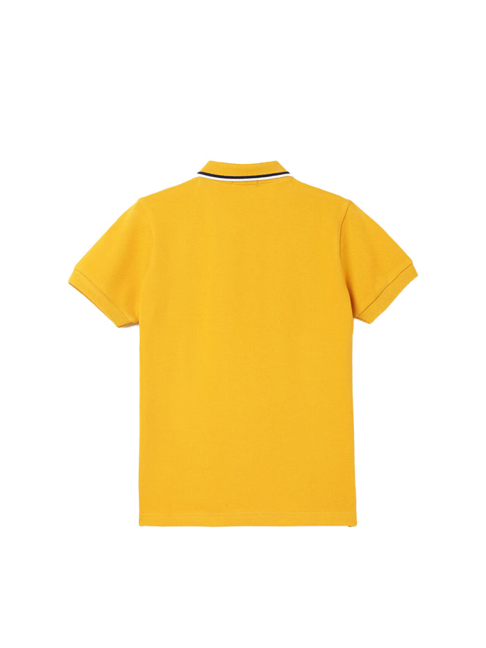 REGULAR FIT POLO COLLAR SOLID T-SHIRT