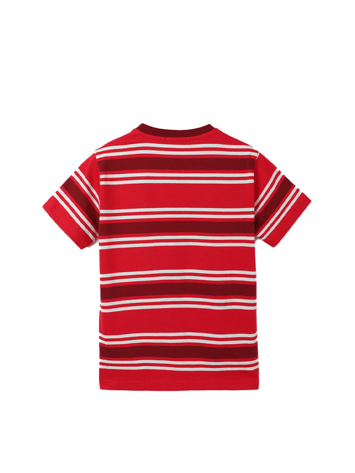 REGULAR FIT ROUND NECK STRIPED PATTERN T-SHIRT