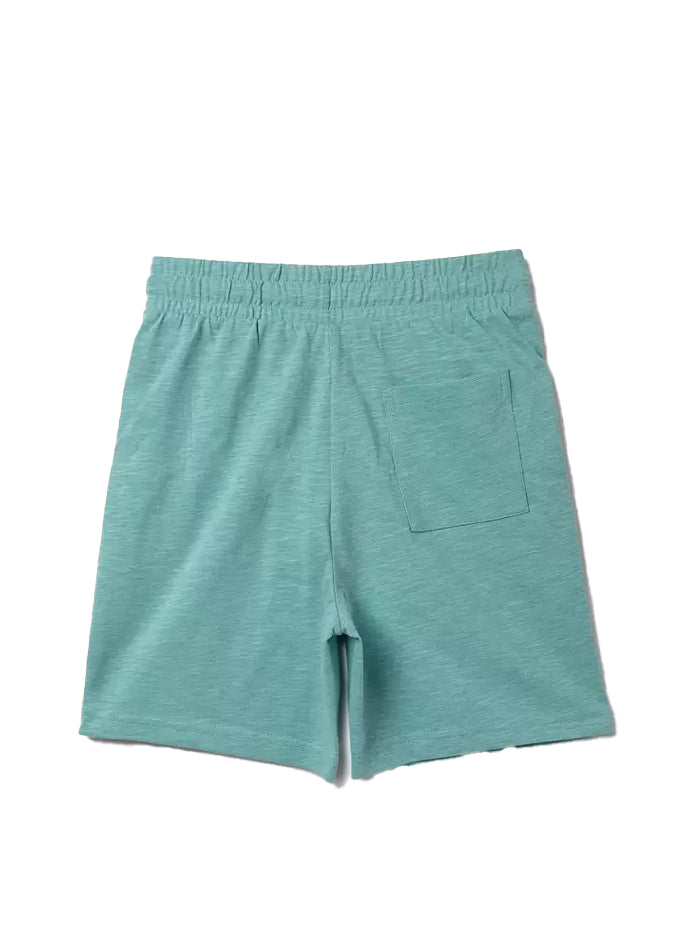 Casual Self Design Cotton Boys Shorts
